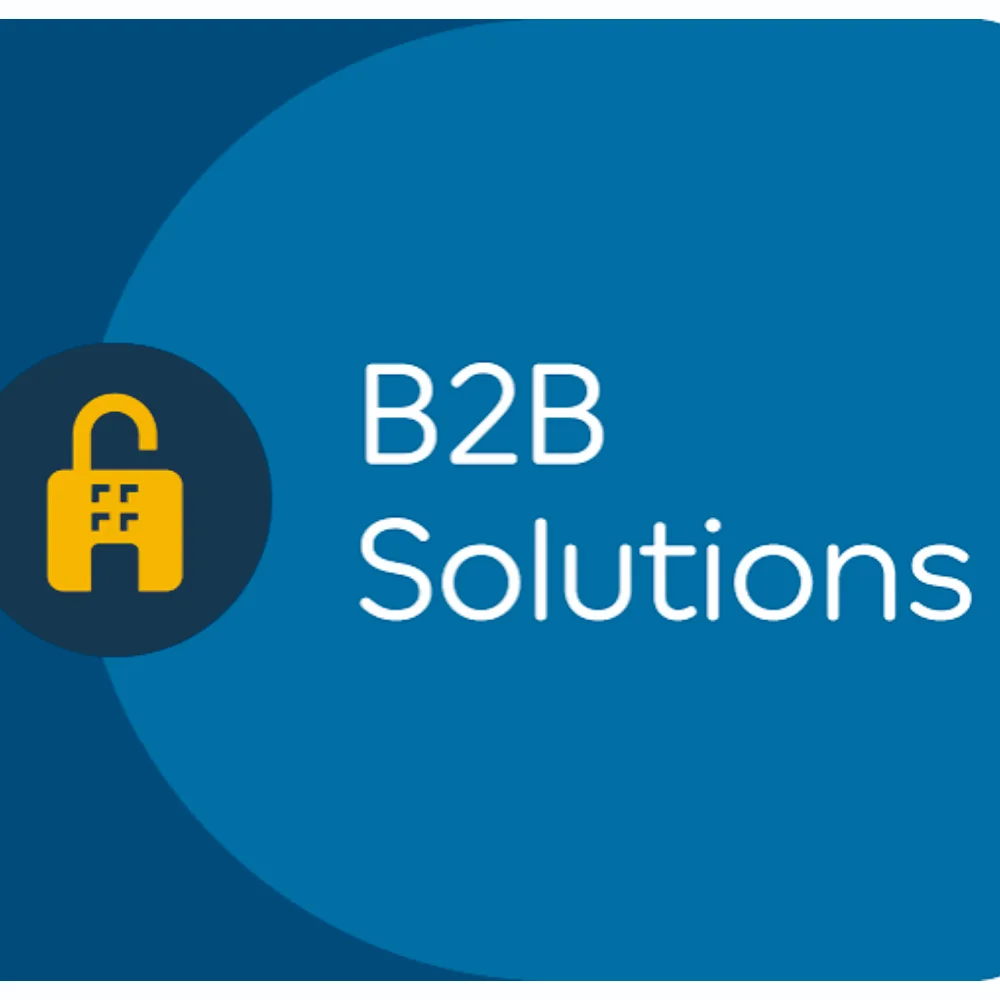 Tailor-Made B2B Solutions