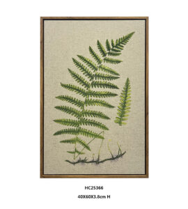 Botanical fern study with visible roots and green fronds