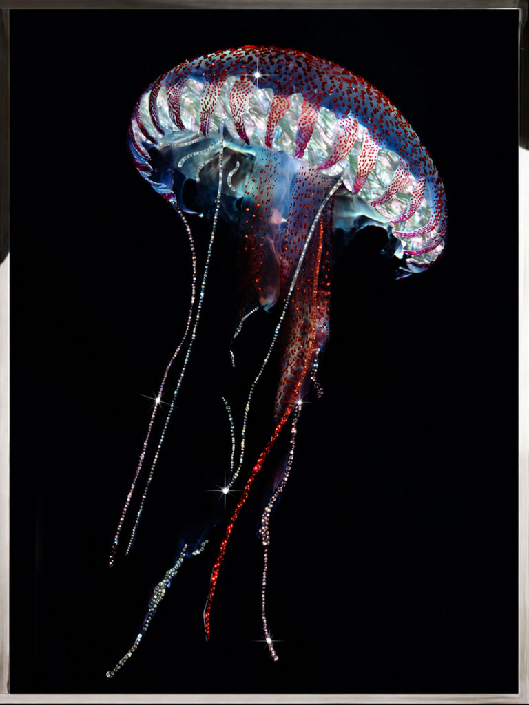 Red and blue crystal jellyfish wall art in a metal frame