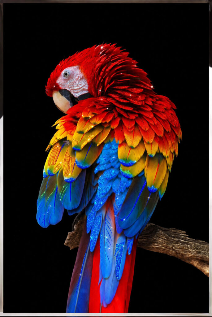 Close-up of the colorful crystal parrot artwork