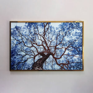 Framed blue crystal tree wall art displayed on a white wall