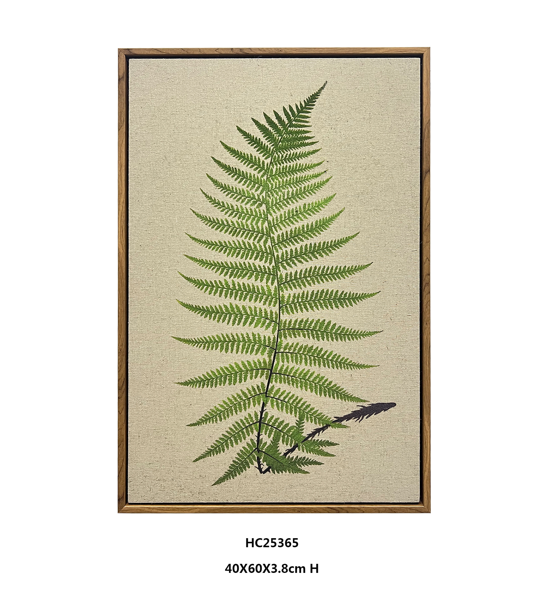 Framed Fern Wall Art for Boutique Hotels and Modern Homes（40×60cm）