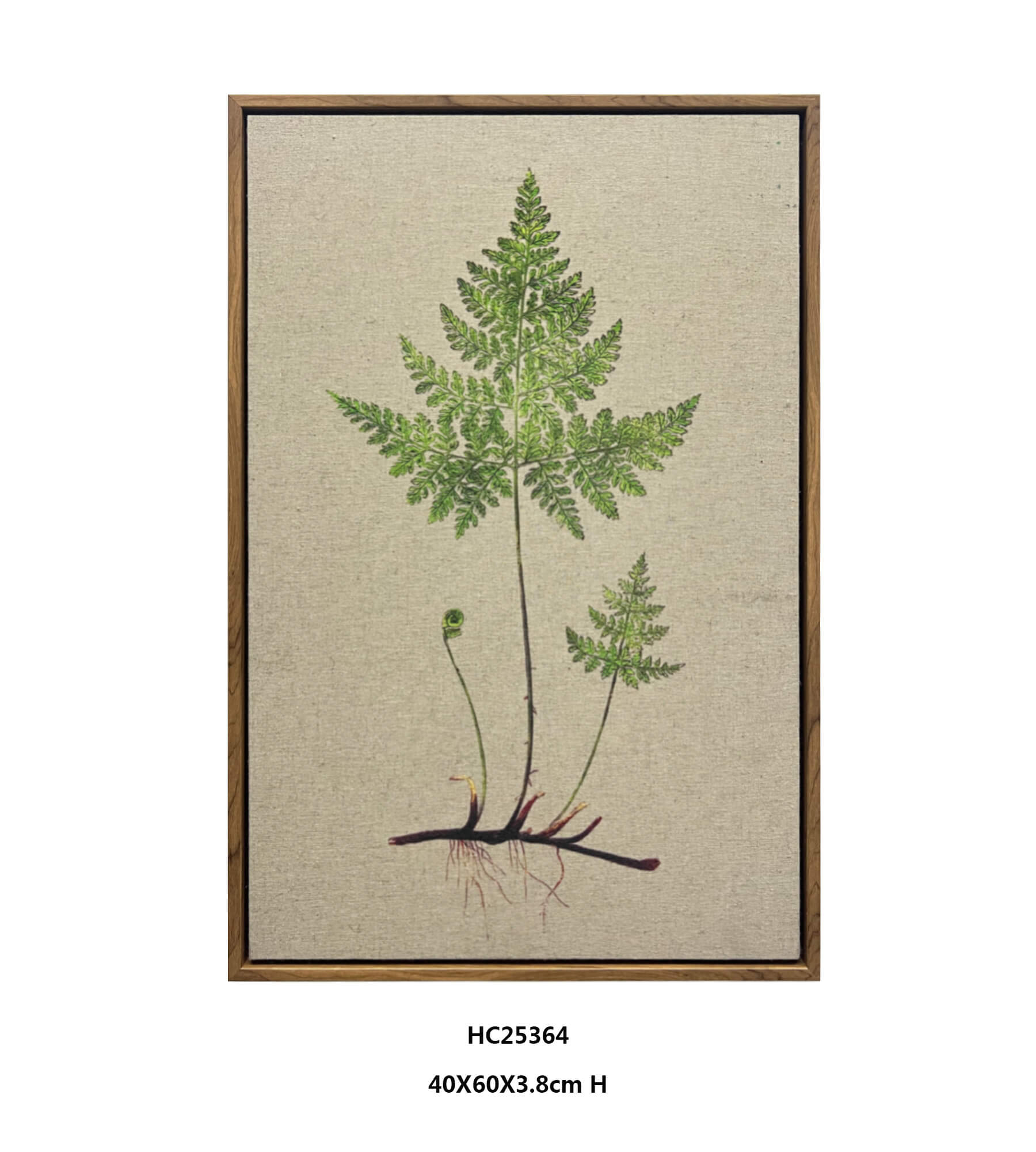 Framed Fern Wall Art with Quiet Greenery and Linen Texture（40×60cm）