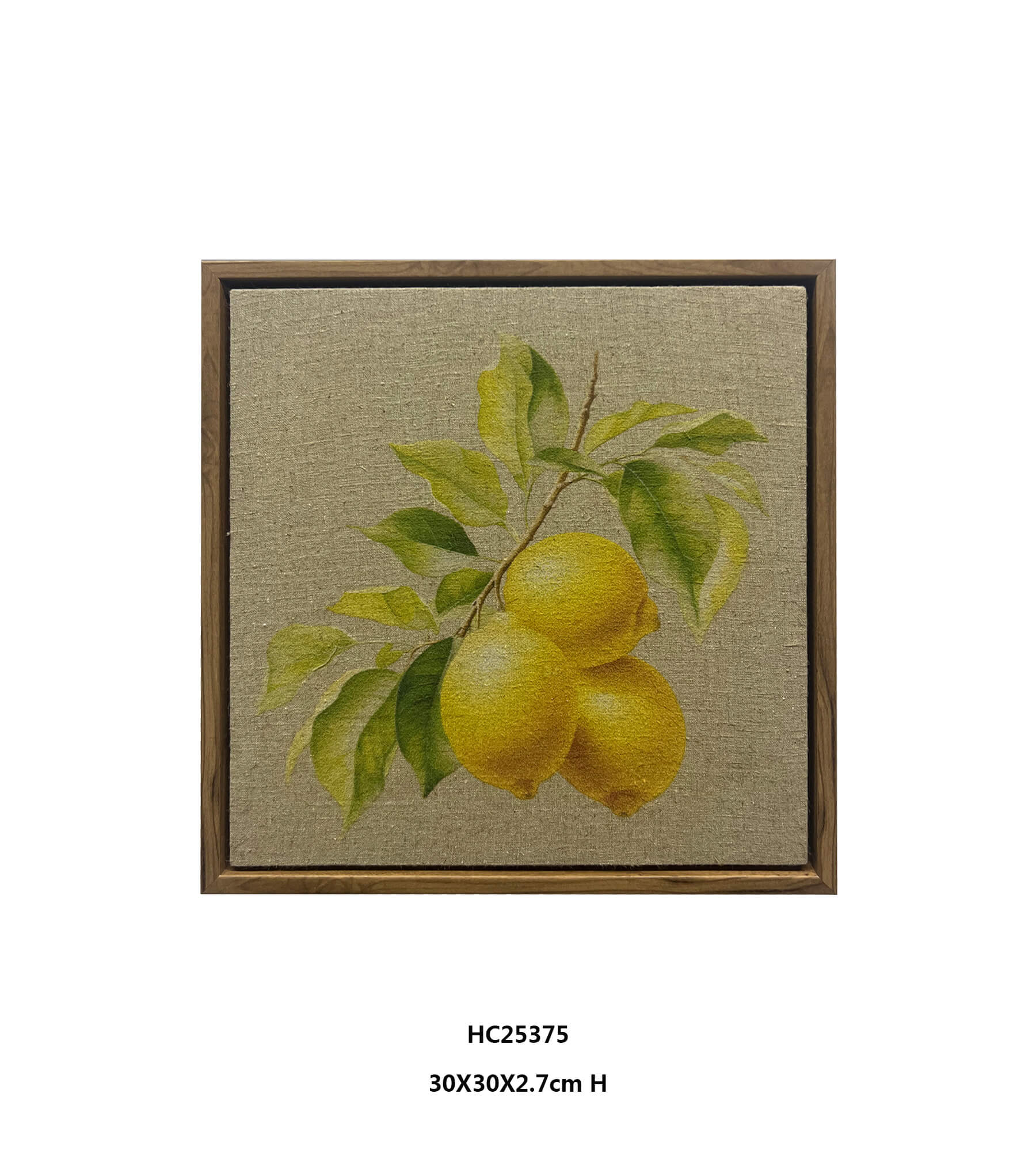 Warmth in Interiors with Framed Lemon Botanical Wall Art（30×30cm）