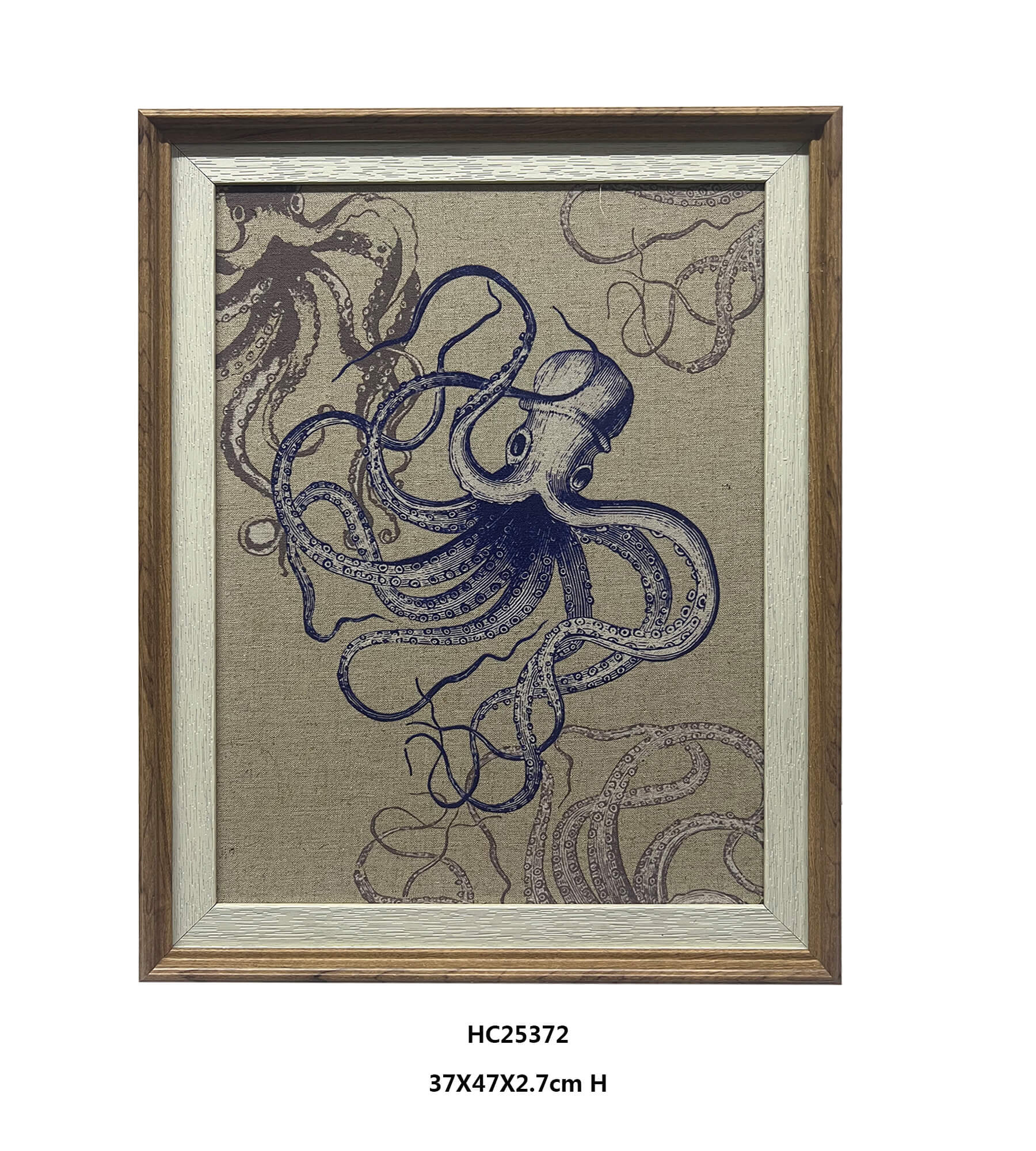Octopus and Seahorse Vintage Marine Life Wall Art（37×47cm）