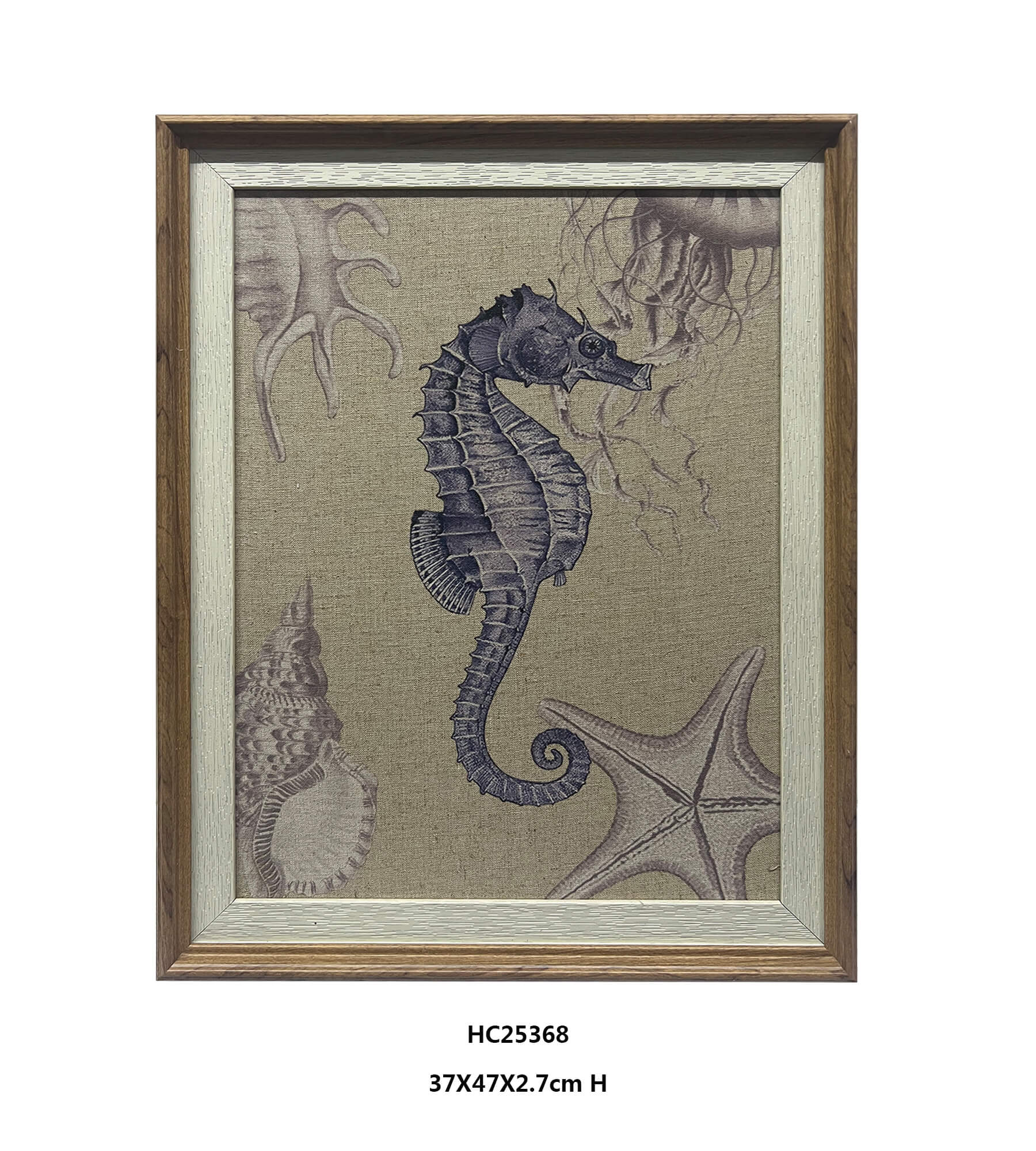 Framed seahorse wall art with shells and starfish on a neutral woven-texture background