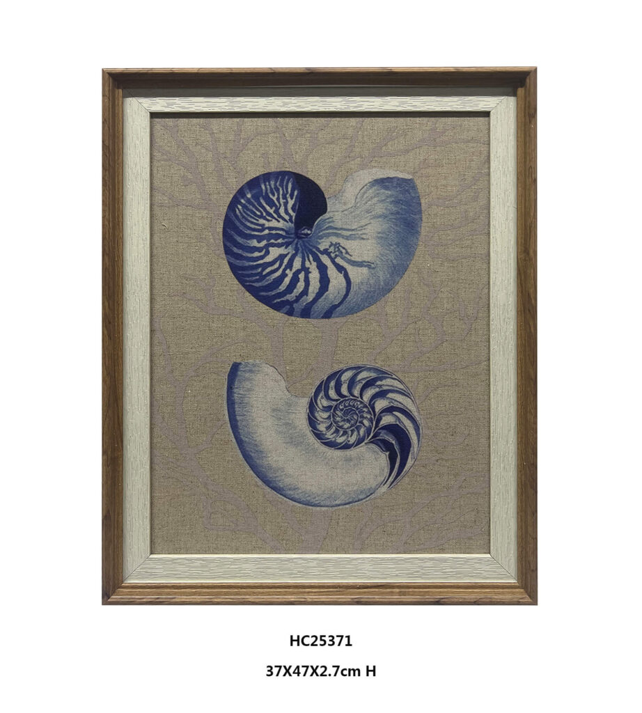 Framed seashell wall art with two navy blue shell studies