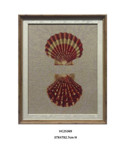 Paired framed seashell wall art featuring scallop shells in a wood frame