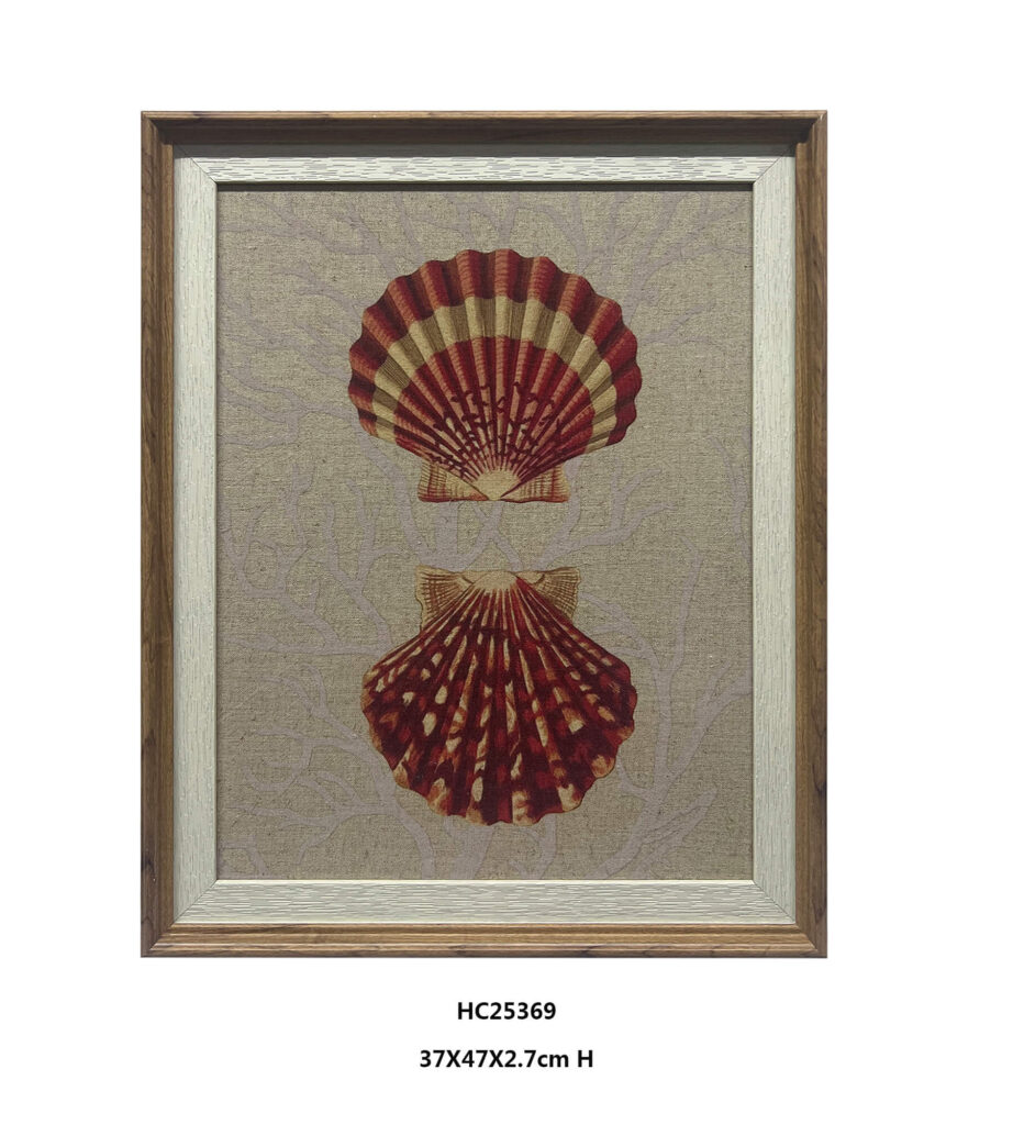 Paired framed seashell wall art featuring scallop shells in a wood frame