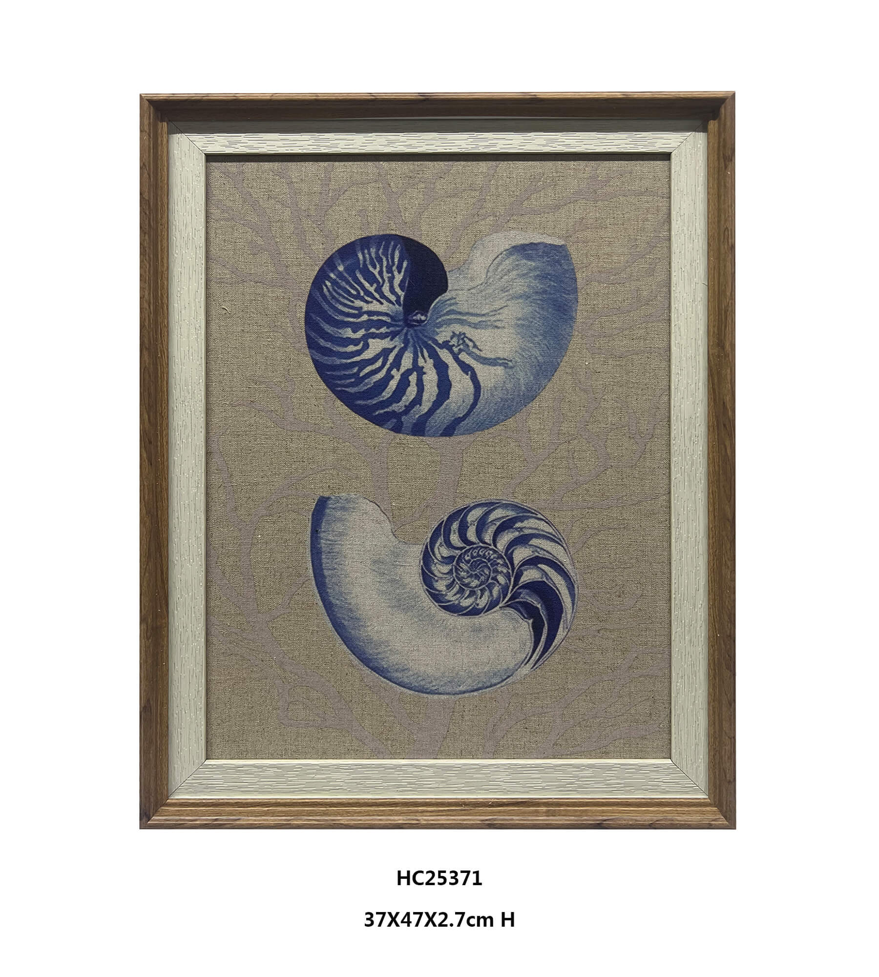 Framed seashell wall art with two navy blue shell studies