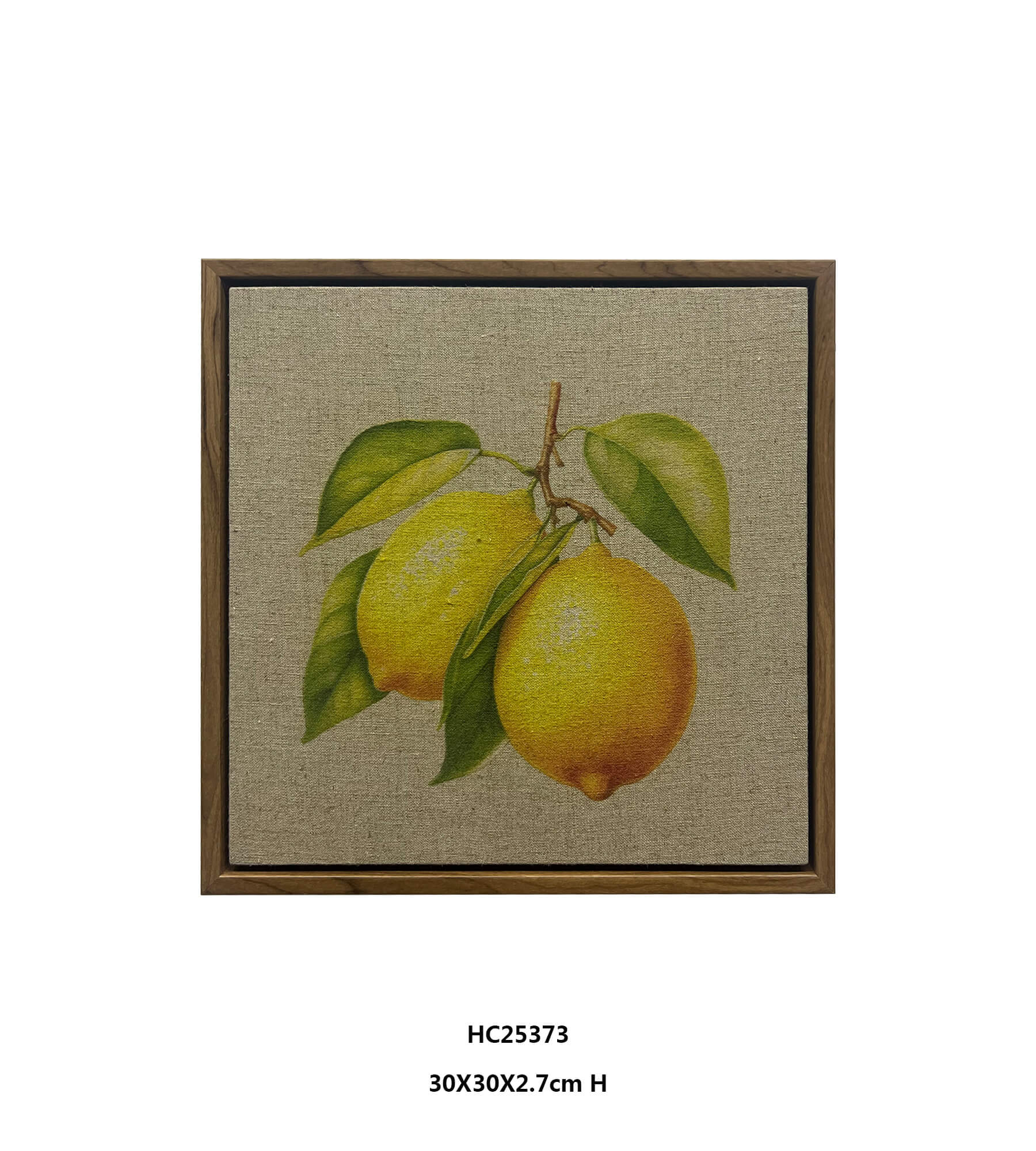 Framed Lemons Bring Botanical Warmth to Kitchen Interiors（30×30cm）