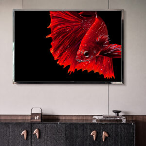 Framed fish artwork displayed above a dark sideboard
