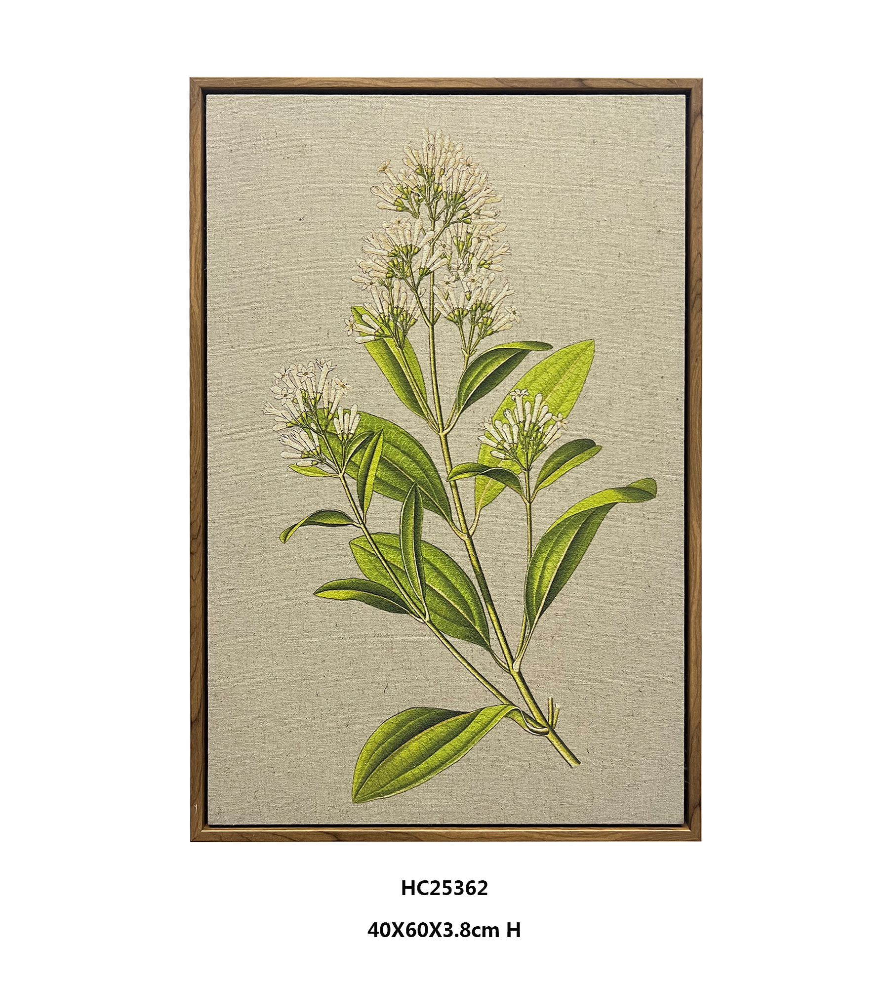 Framed Linen Botanical Wall Art for Natural Rooms Quiet Greenery（40×60cm)