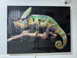 Framed chameleon crystal wall art on black background